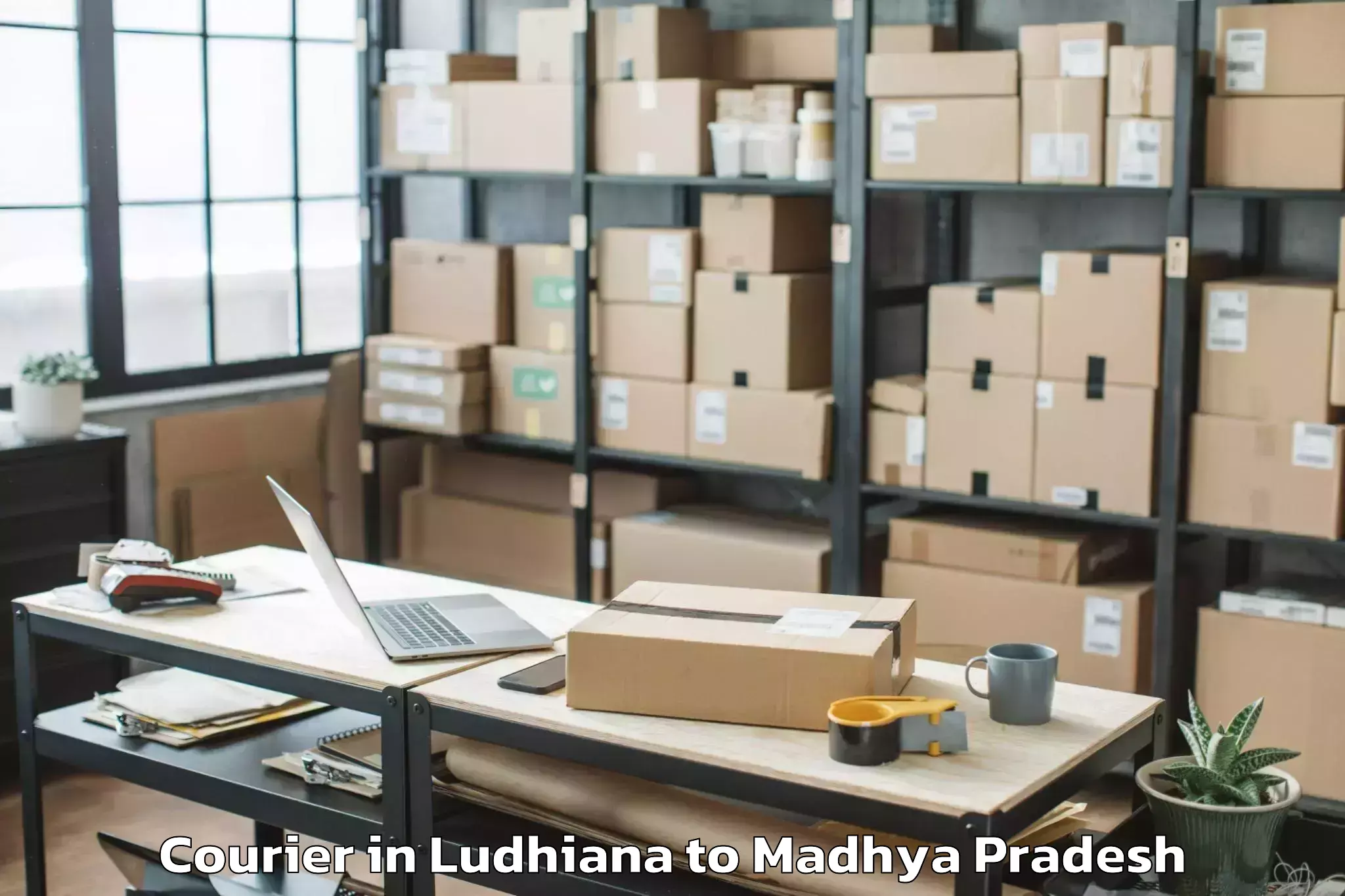 Easy Ludhiana to Sanwer Courier Booking